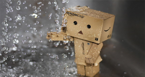 AMAZON-PERDIDAS