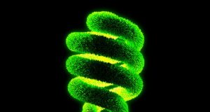 Cómo desarrollar marcas con valores y conciencia social