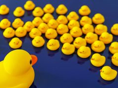 ¿Cuál es la clave para tener una mentalidad innovadora?