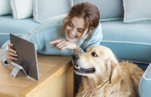 Mascoterias.com y el auge del ecommerce: nutrición de calidad y servicio de excelencia como nueva prioridad